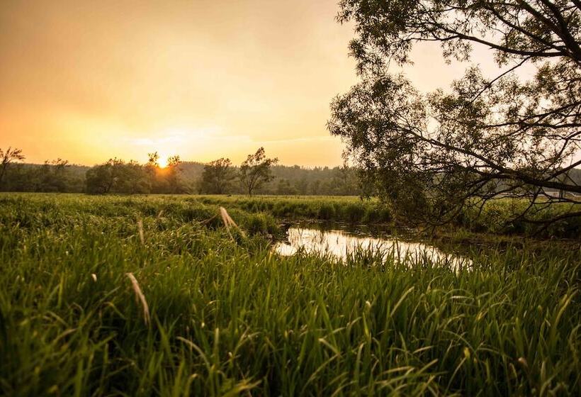 Laura S Bed & Breakfast