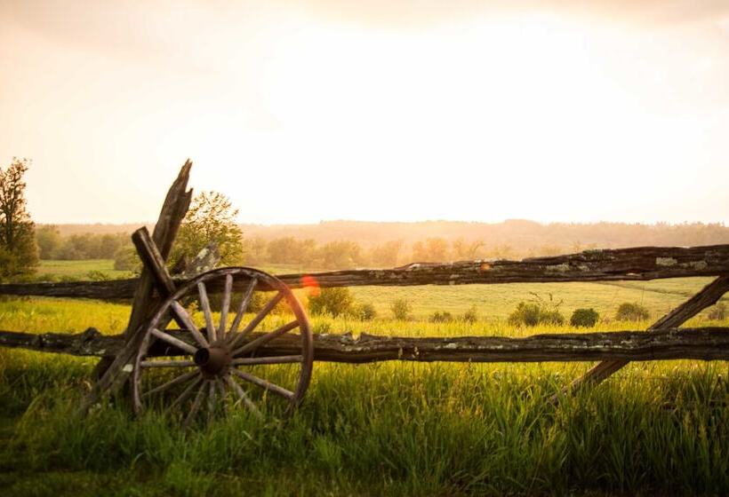 Laura S Bed & Breakfast