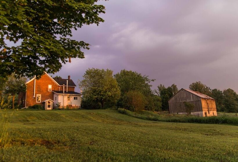 Laura S Bed & Breakfast