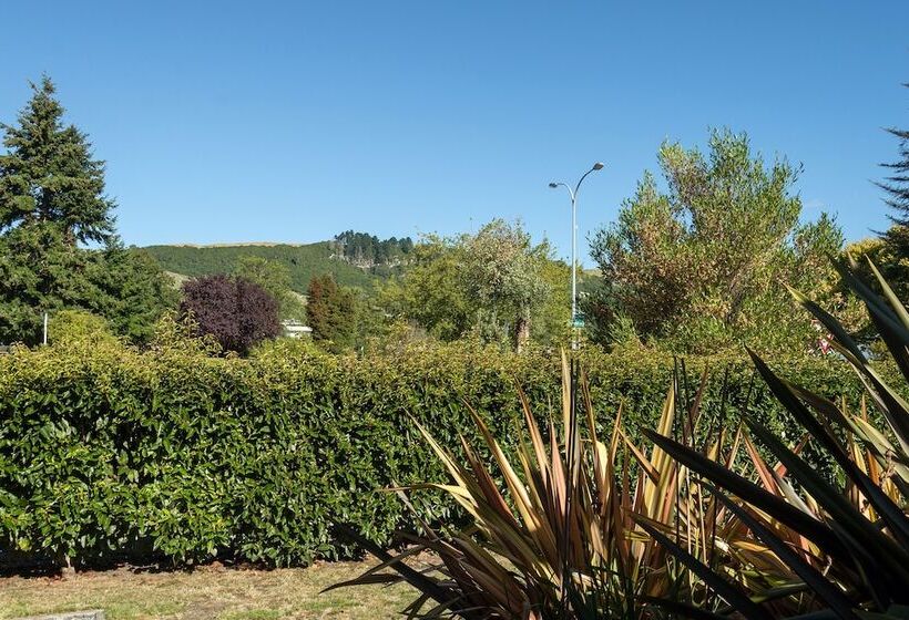 Lupin Lodge Bed And Breakfast