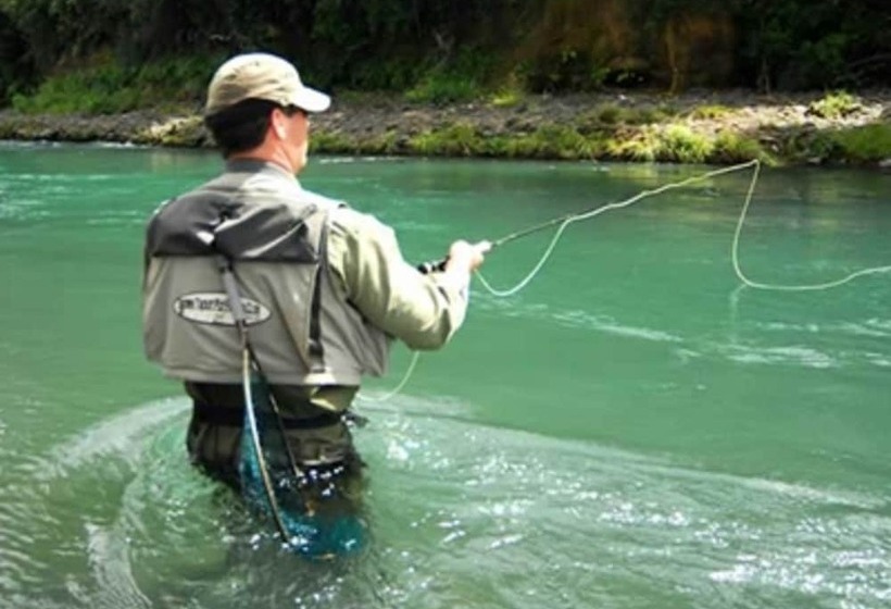 Lupin Lodge Bed And Breakfast