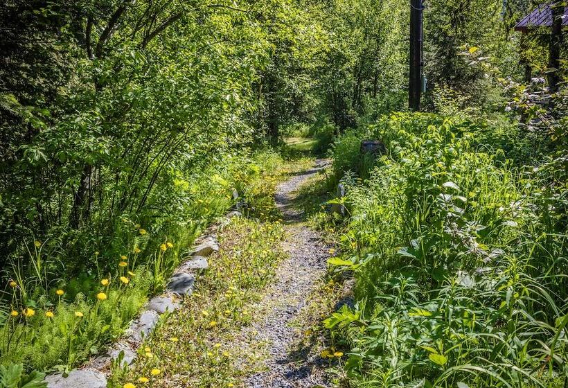 Midnight Sun Log Cabins