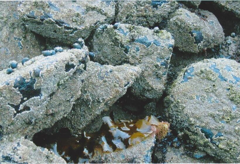 Millyard Recreation Riverfront Cottages