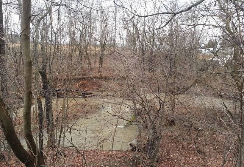 汽车旅馆  Chaffee Lodge