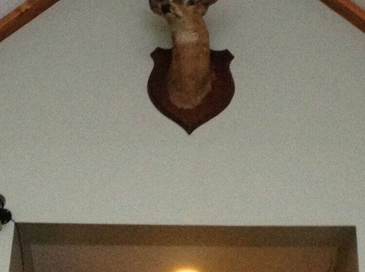 汽车旅馆  Chaffee Lodge