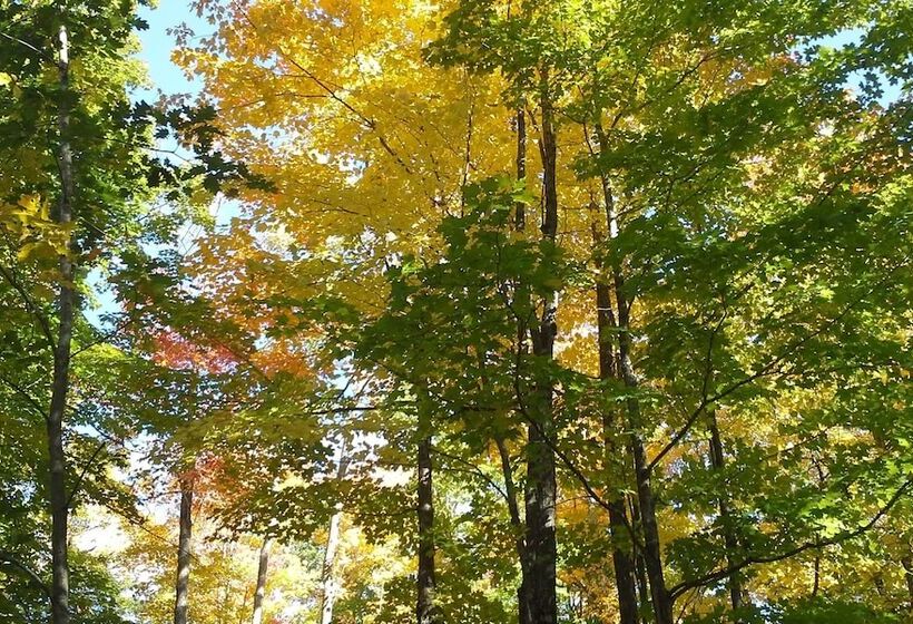 汽车旅馆 Chicaugon Lake Inn