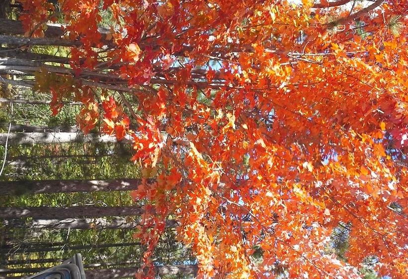 汽车旅馆 Chicaugon Lake Inn