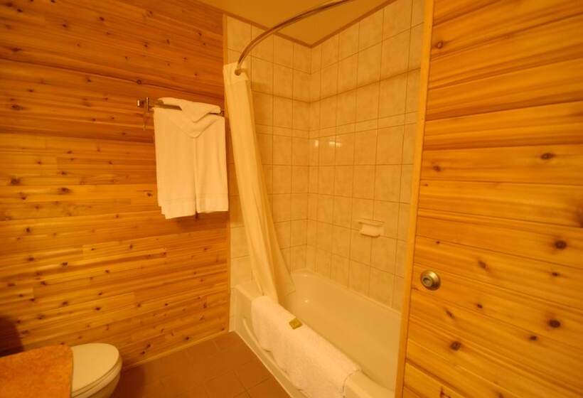 فندق على الطريق Pinewood Motor Inn