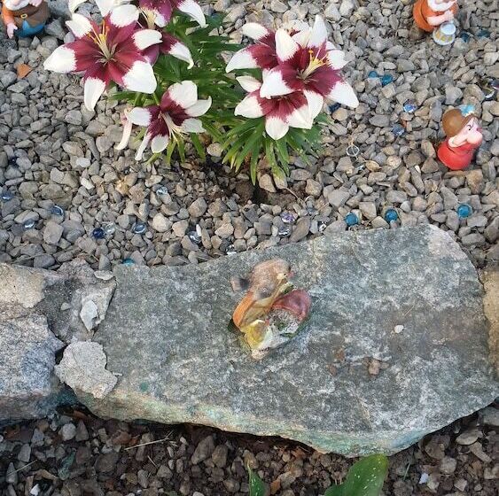 Мотель River Country Motor Lodge