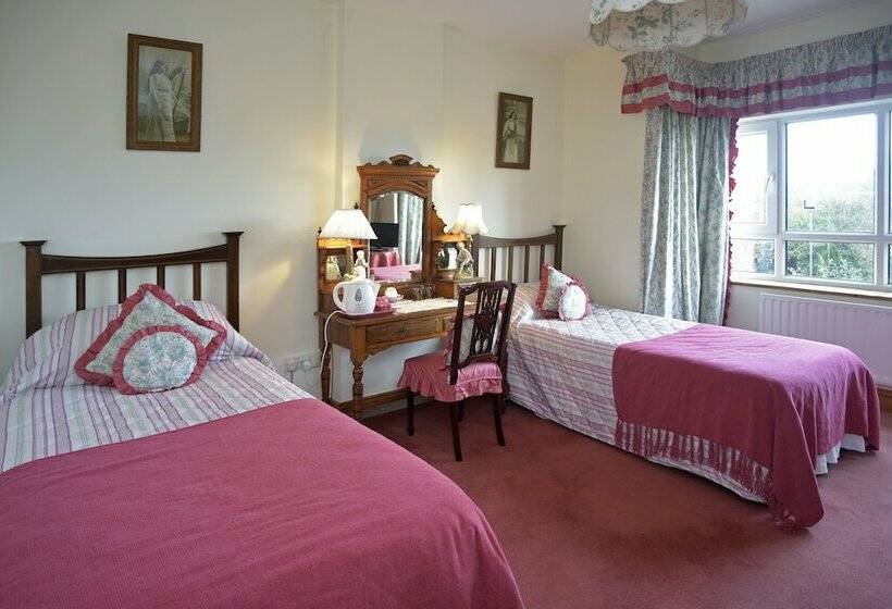 Moyglare Lodge Country House B&b