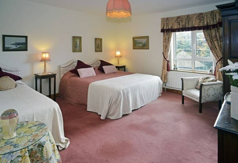 Moyglare Lodge Country House B&b