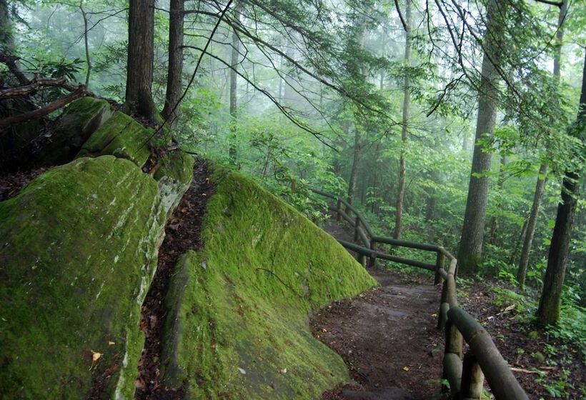 Natural Bridge State Resort Park