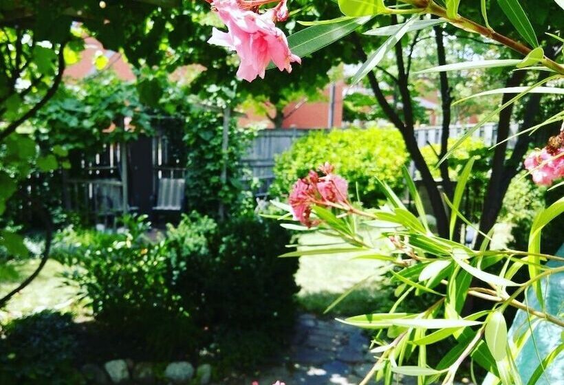 Opus 74 Bed & Breakfast