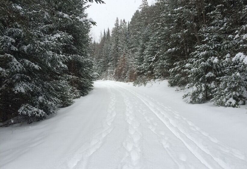 膳宿费 Bb Saffron Tremblant