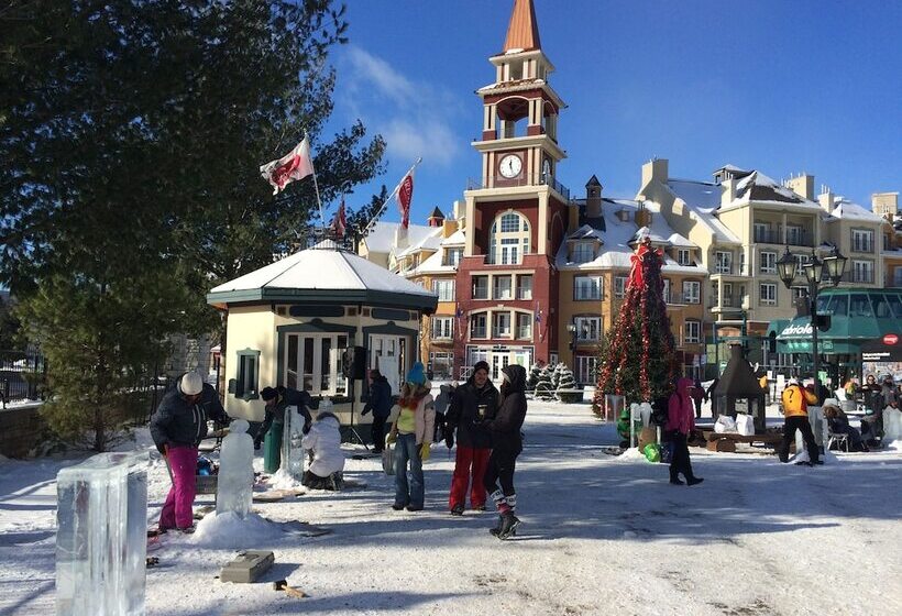 膳宿费 Bb Saffron Tremblant