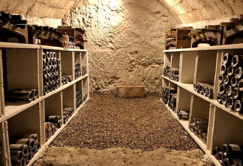 펜션 Château De La Celle Guenand