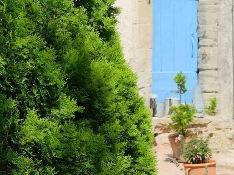 ペンション Domaine Saint Joly