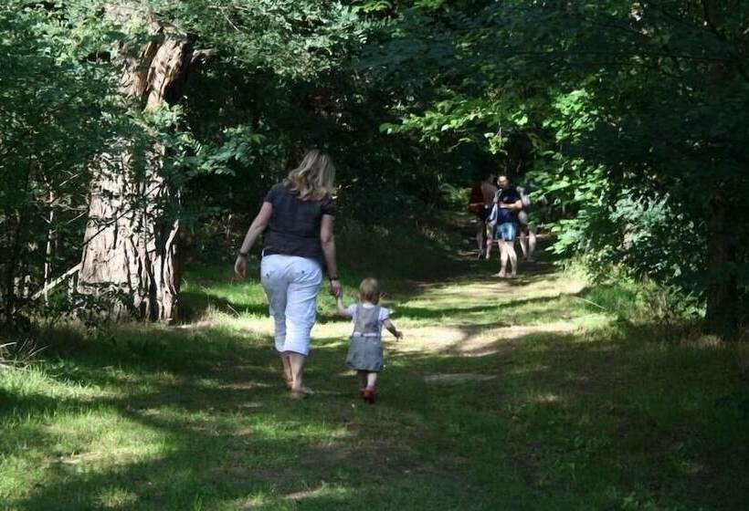 ペンション Ferienparadies Waldidylle