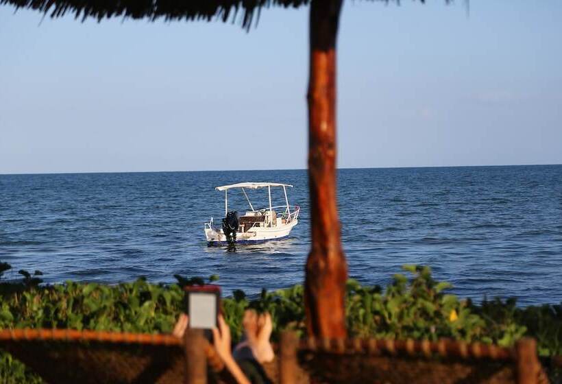 ペンション Kijongo Bay Beach Resort