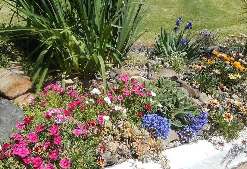 פנסיון La Casa Te Puru Lodge