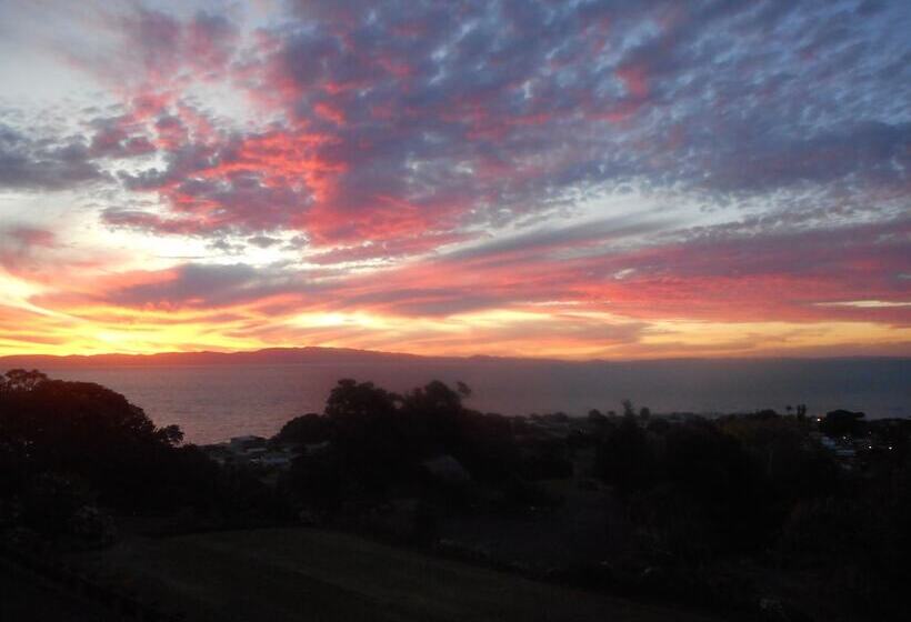 פנסיון La Casa Te Puru Lodge