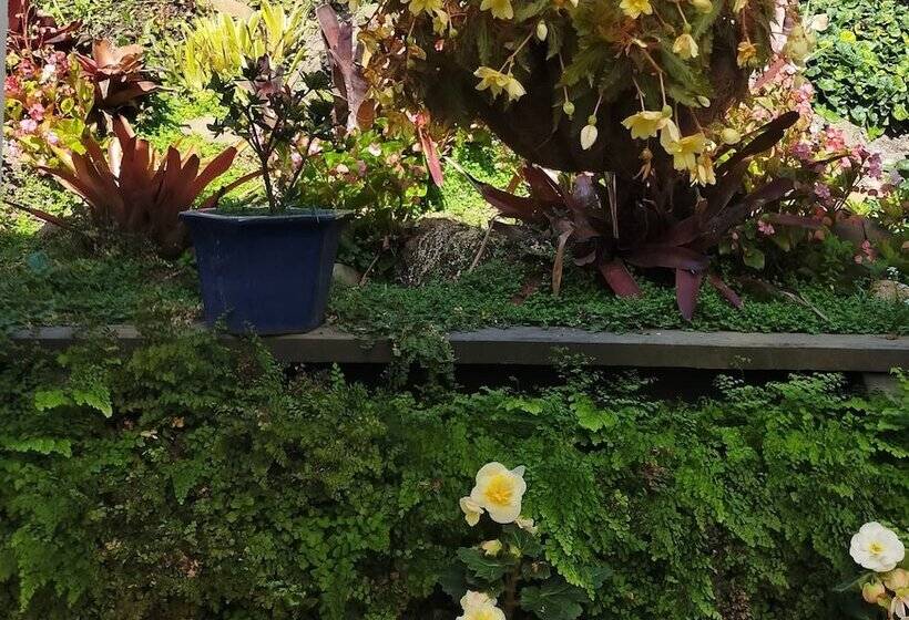 פנסיון La Casa Te Puru Lodge