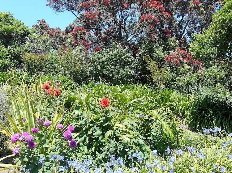 פנסיון La Casa Te Puru Lodge