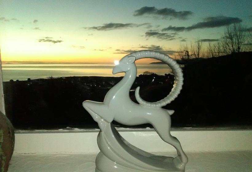 פנסיון La Casa Te Puru Lodge