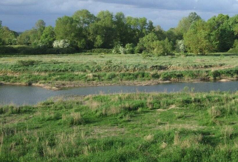 ペンション La Sterne De Loire Maison D Hôtes