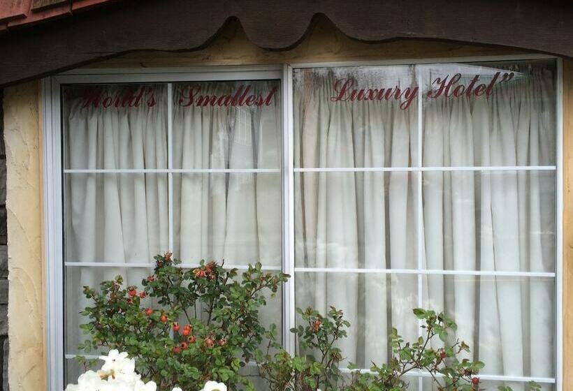 بنسيون Little Inn On Willow