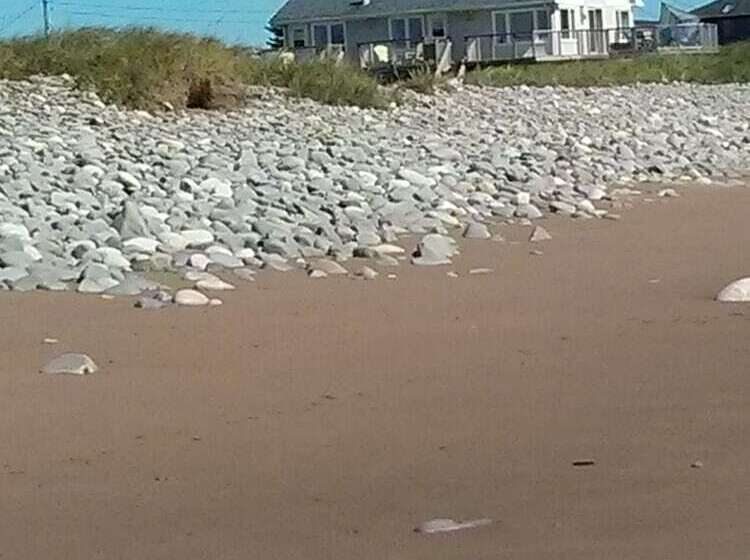 膳宿费 Moonlight Beach Suites