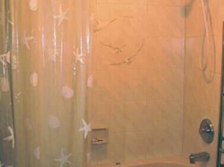 膳宿费 Moonlight Beach Suites