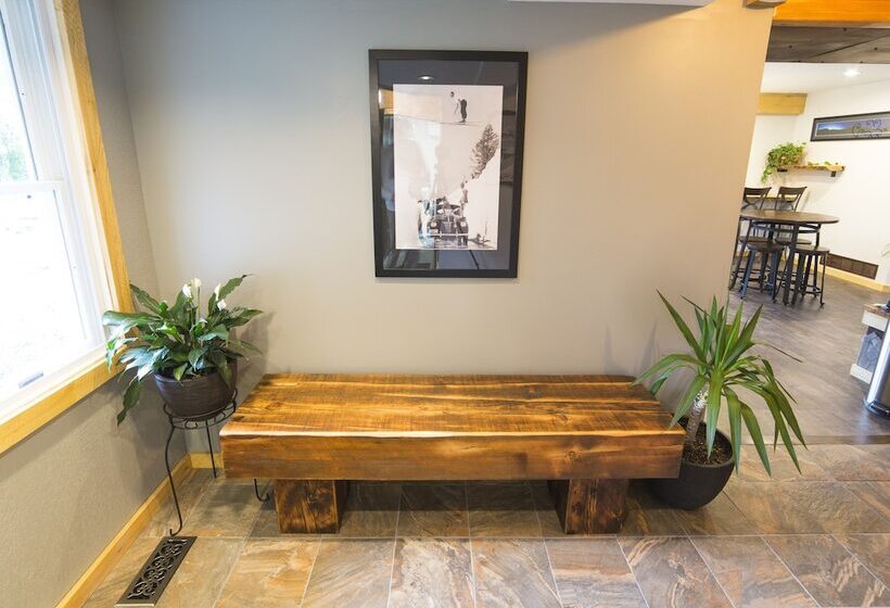 بنسيون Ski Inn