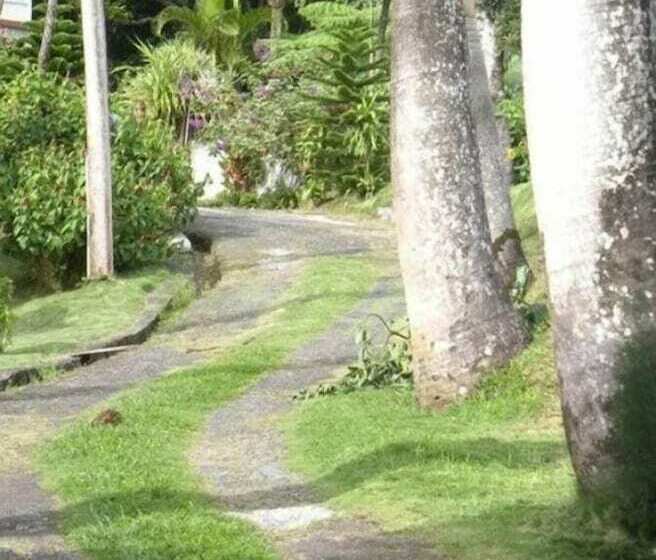 Panzió Symes Zee Villa