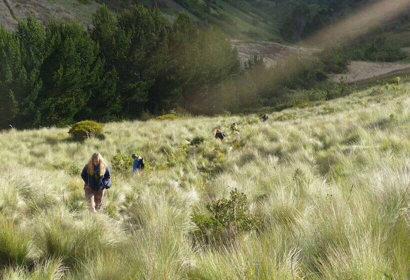 Refugio Terra Esperanza Hostel