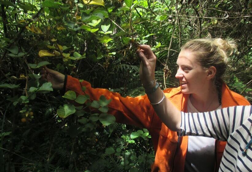 Refugio Terra Esperanza Hostel