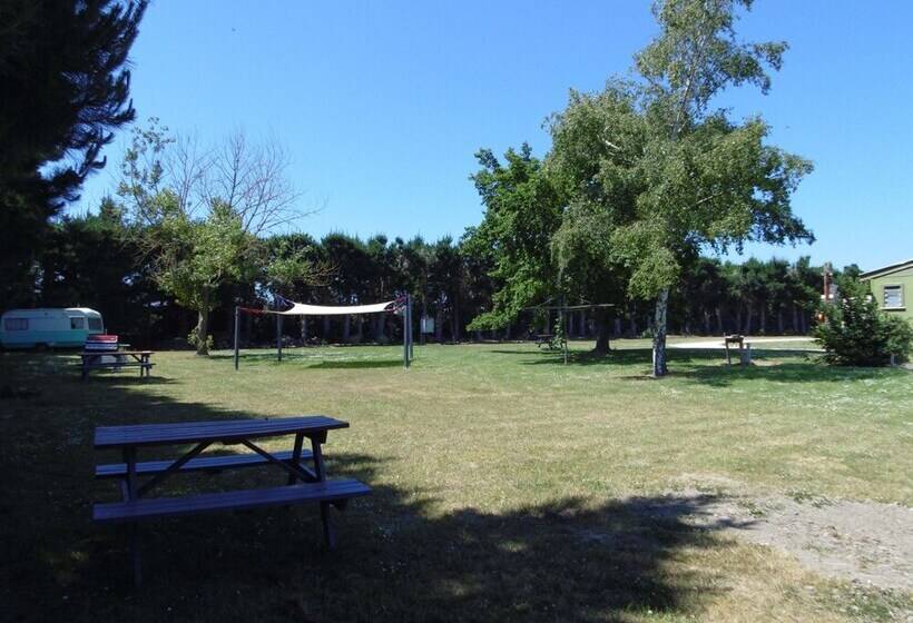 リゾートホテル Glenavys Waitaki River Motor Camp