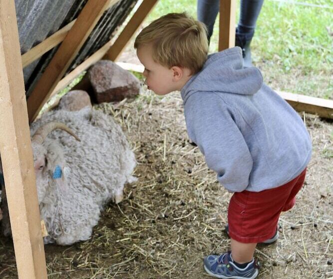 Telemark Camping & Inn   Eldhuset Cabin