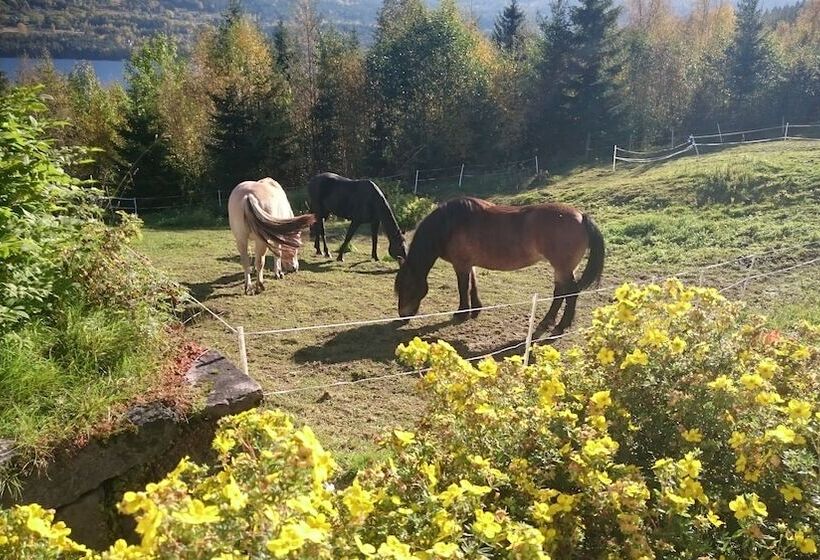 Telemark Camping & Inn   Eldhuset Cabin