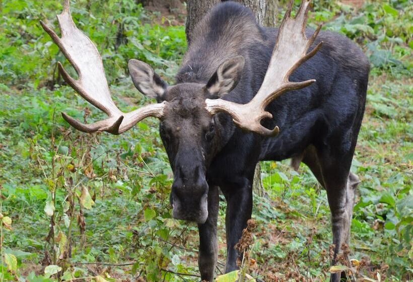 The Poland Spring Resort