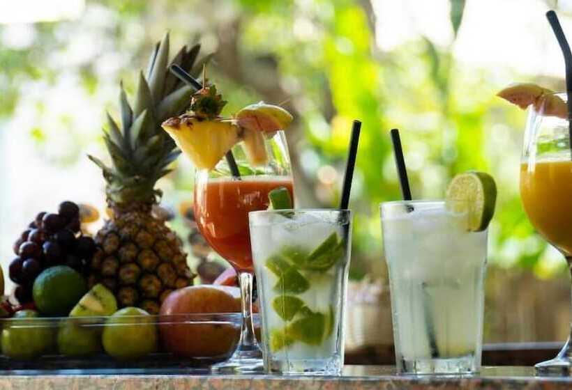 Vila Alema Boutique Hotel E Apartamentos