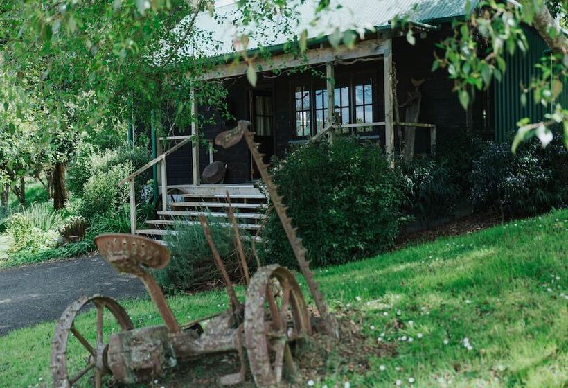 Vineyard Cottages   Kumeu