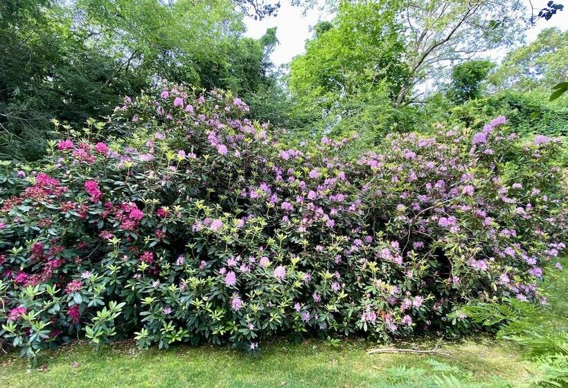 3 Waves Bed & Breakfast