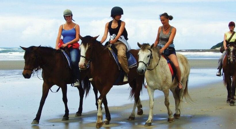 הוסטל Buccaneers Backpackers