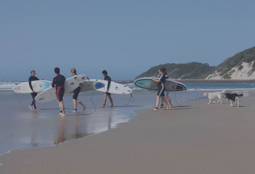 הוסטל Buccaneers Backpackers