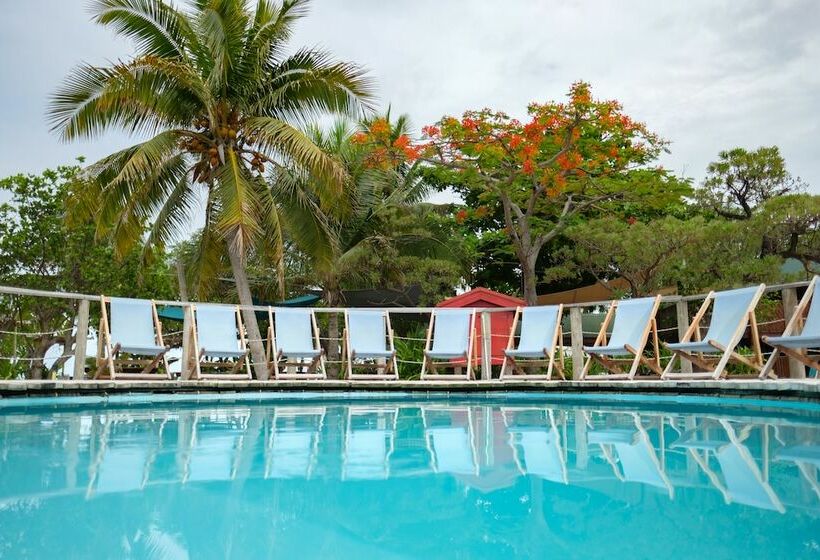 הוסטל South Sea Island