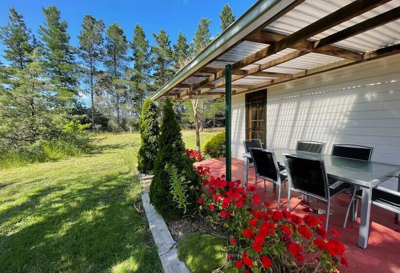 مبيت وإفطار Alexanders  Of Richmond