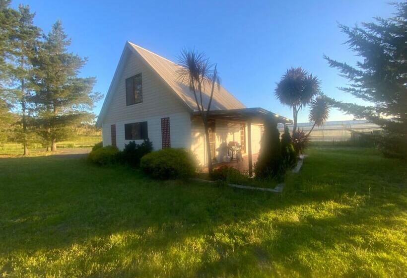 مبيت وإفطار Alexanders  Of Richmond