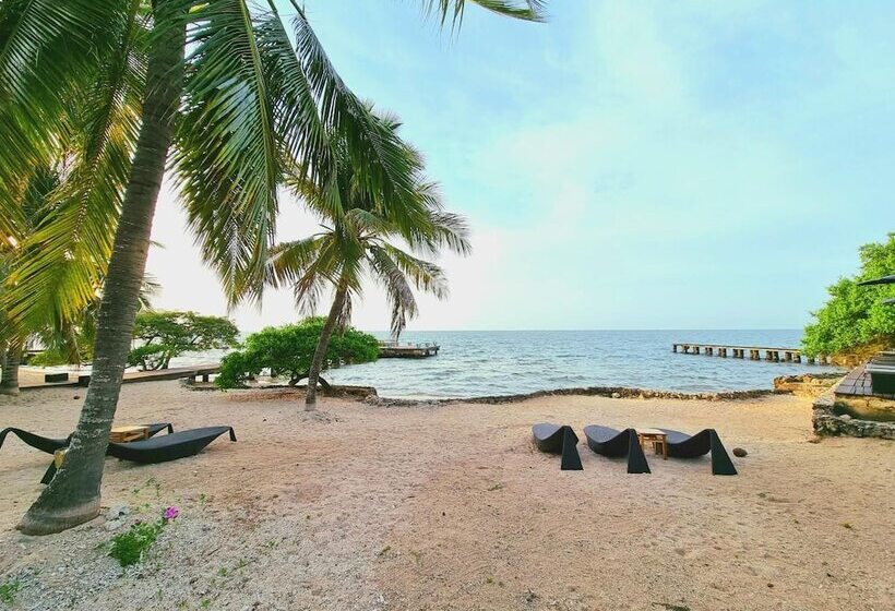 ベッドアンドブレックファースト Casa Cordoba Baru