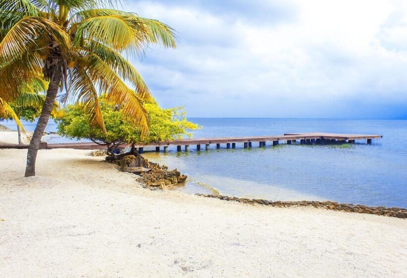 ベッドアンドブレックファースト Casa Cordoba Baru